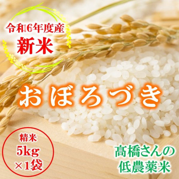 画像1: 米 お米 5kg（5kg×1袋） 新米 送料込み 北海道産 おぼろづき 白米 低農薬米 令和6年産 東旭川産 高橋さんのおぼろづき (1)