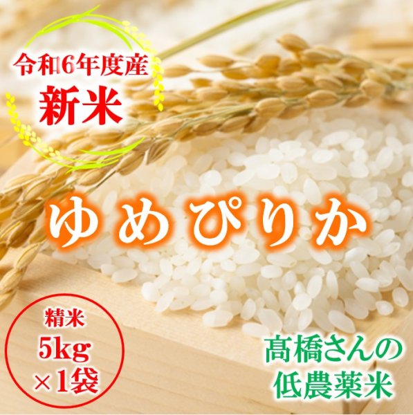 画像1: 米 お米 5kg（5kg×1袋） 新米 送料込み 北海道産 ゆめぴりか 白米 低農薬米 令和6年産 東旭川産 高橋さんのゆめぴりか (1)