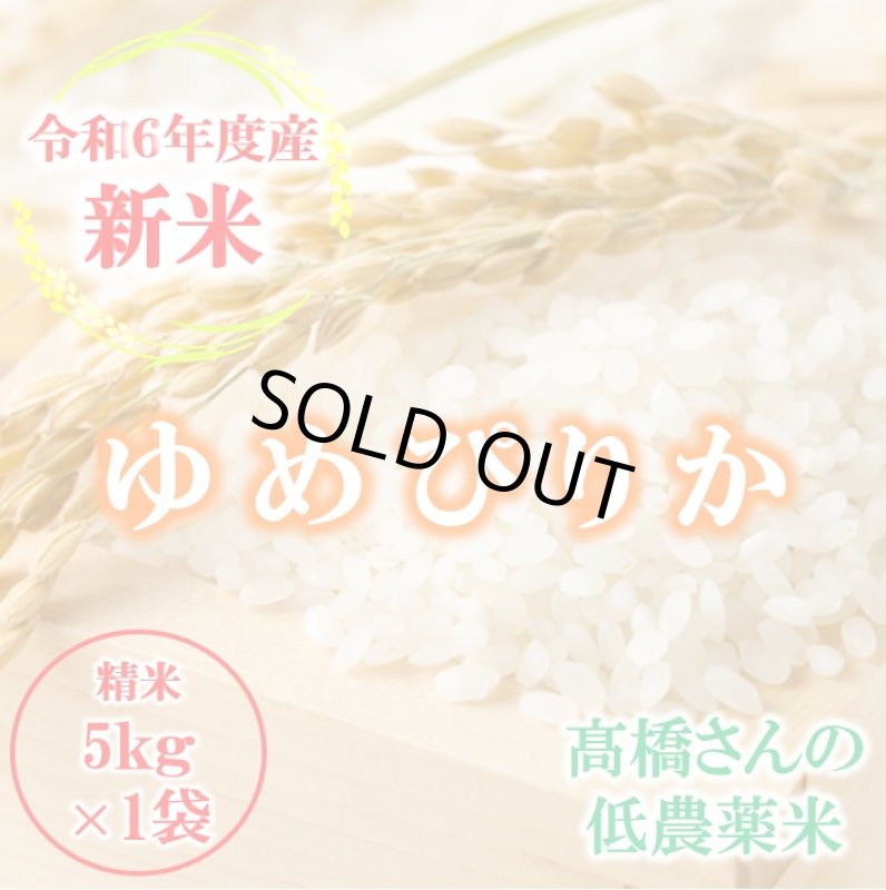 画像1: 米 お米 5kg（5kg×1袋） 新米 送料込み 北海道産 ゆめぴりか 白米 低農薬米 令和6年産 東旭川産 高橋さんのゆめぴりか (1)
