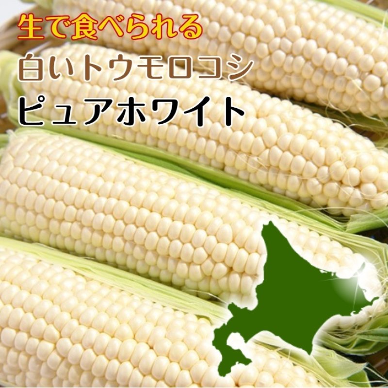 画像1: しのださんのとうもろこし Lサイズ10本 ８月２０日以降順次発送 生産者が出荷時期を判断致しますのでお届け希望日はお選びできません (1)